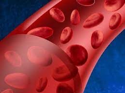 Anemia and Blood disorders