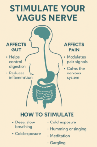 Vagus Nerve Stimulation